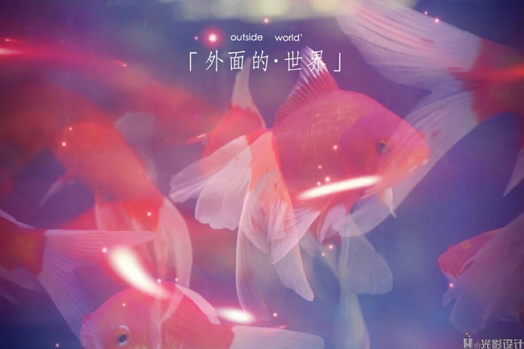 手机拍摄