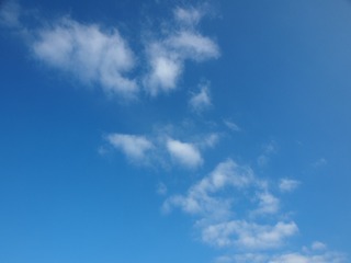1205957