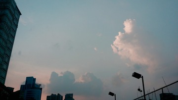 1149891