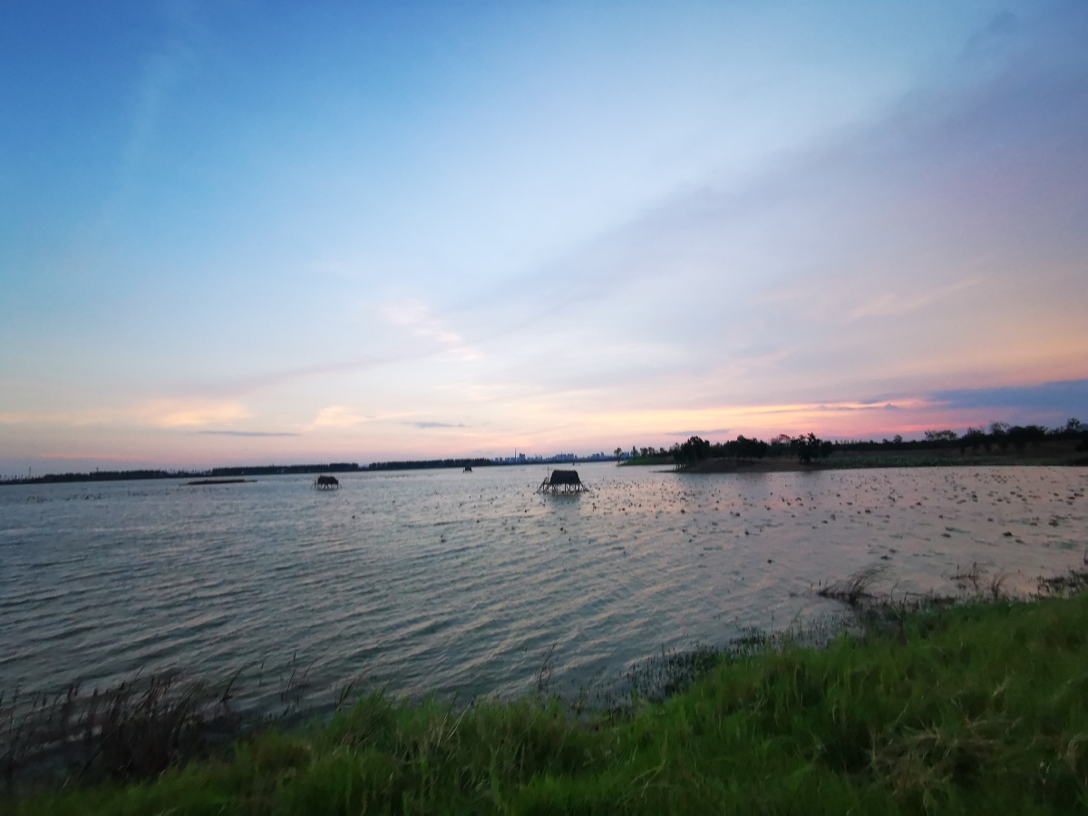 月从江水缓缓升起感动我的心