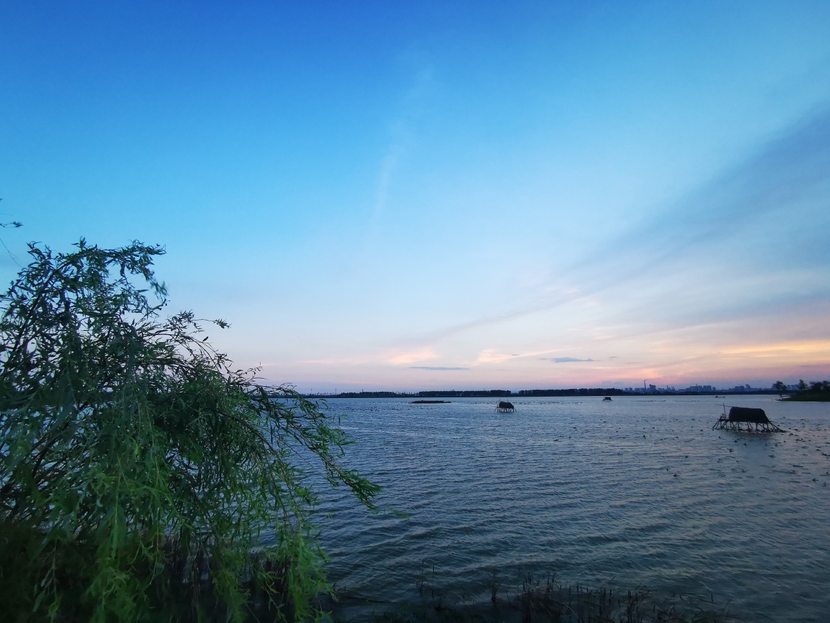 月从江水缓缓升起感动我的心