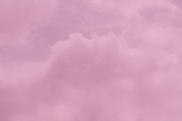 895029