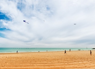 _DSF2474-1