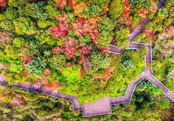 DJI_0543