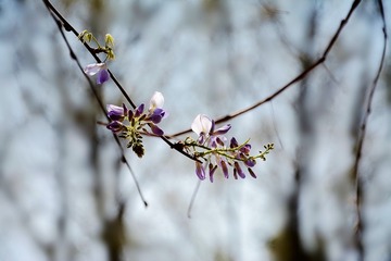 DSC_0546_1_