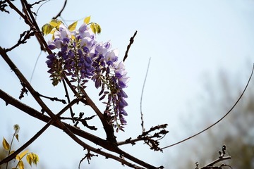 DSC_0551_1_