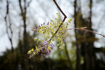 DSC_0553_1_