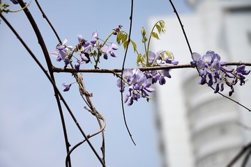 DSC_0569_1_