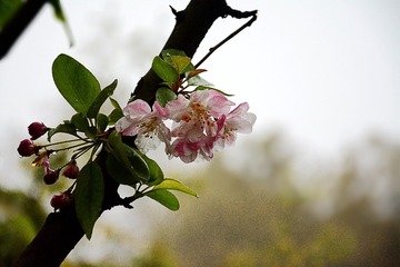 DSC_0749_1_