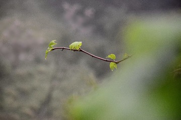 DSC_0784_1_
