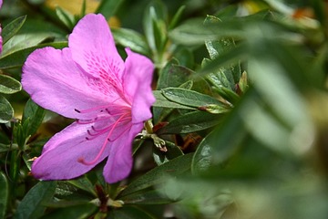 DSC_1399_1_