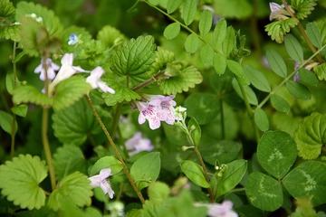 DSC_1221_1_2