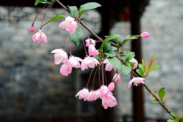DSC_0293_1_