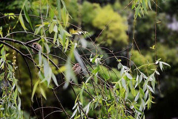 DSC_1977_1_
