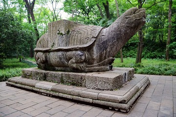 DSC_2409_1_