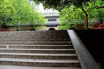 DSC_2412_1_