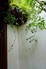 DSC_1878_1_