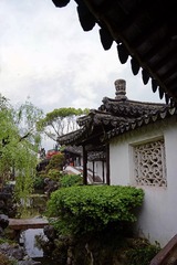 DSC_1904_1_