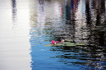 DSC_3280_1_