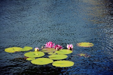 DSC_3281_1_