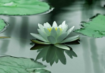 001