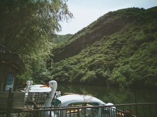 575015