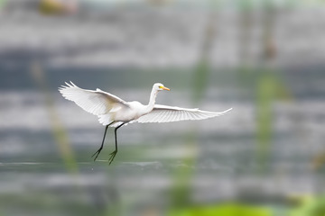 0S2A7592-2