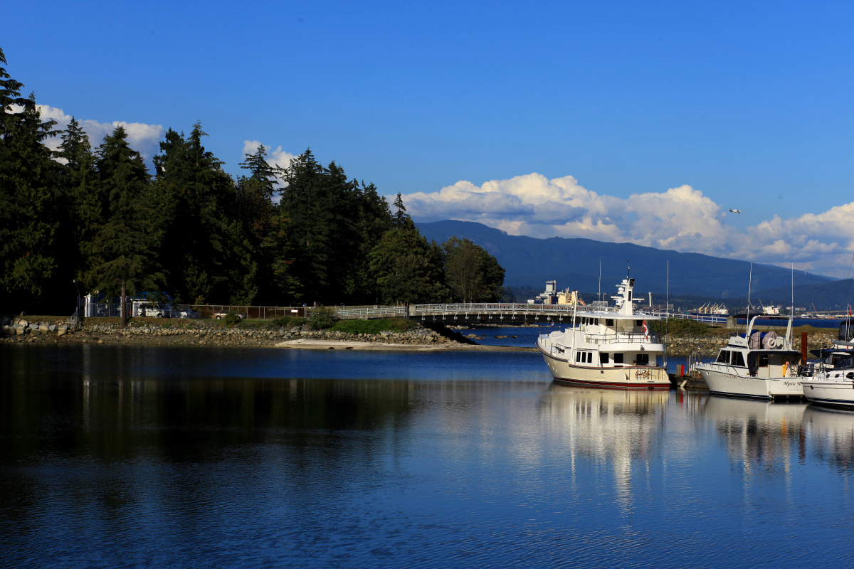 vancouver stanley park随拍