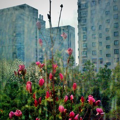 IMG_20160311_090442