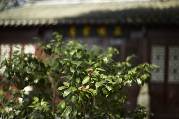 L1005971