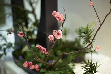 L1006222