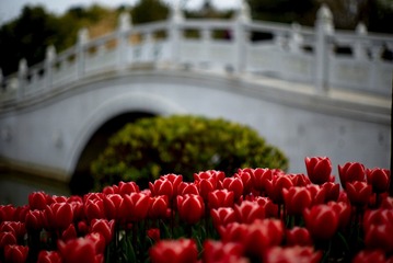 自定义_4