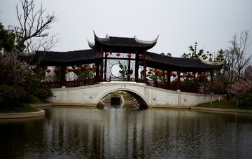 自定义_1