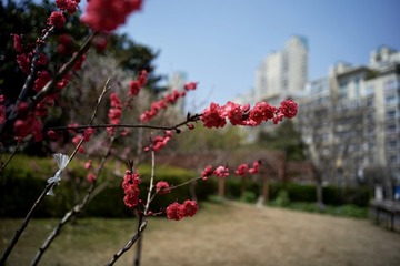 fullsizeoutput_6