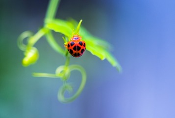 _DSC9493-2