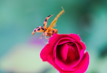 _DSC0222