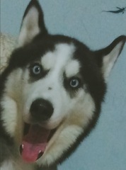 1606404