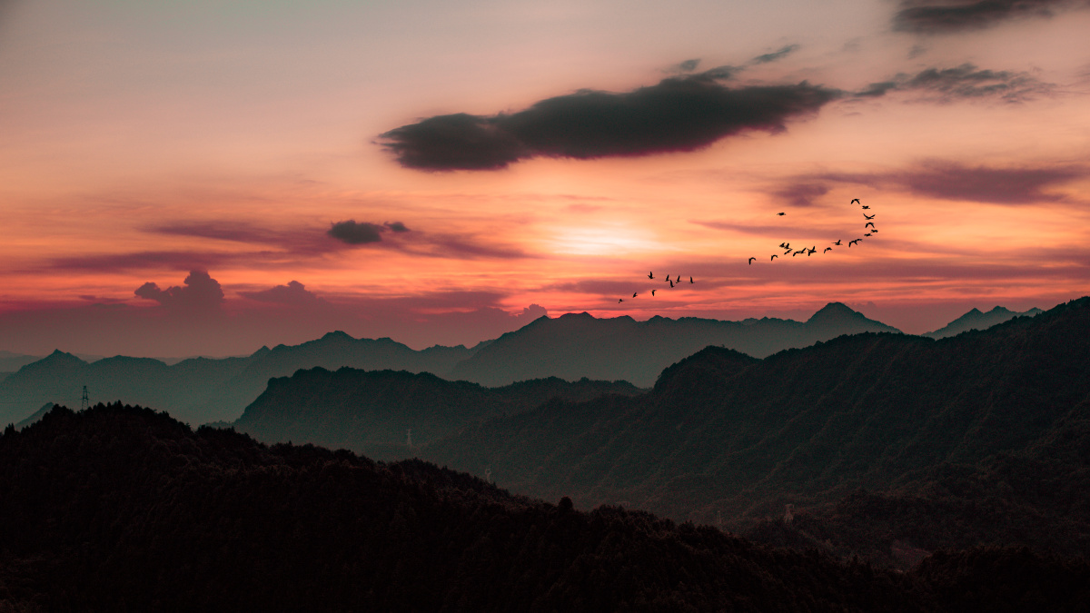 落霞与孤鹜齐飞