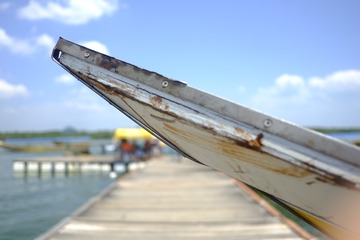 _DSF4539