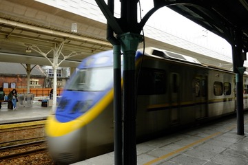 _DSF3929