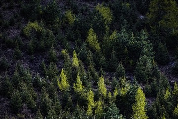 _DSF0389