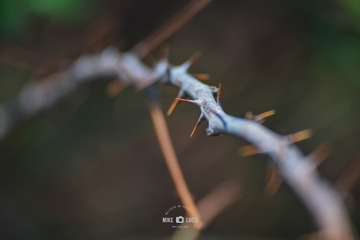 201657