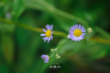 201666