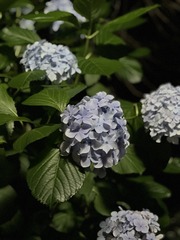 BB759023-427F-4175-91E1-92ED8BCF056D/L0/001