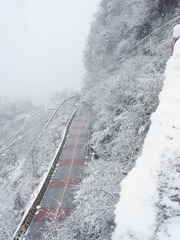 A25F8207-99D8-4A5C-B53E-1DF6FEFEEA57/L0/001