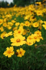 F3E96457-4D9B-453A-A0EF-BF0DC9A81471/L0/001
