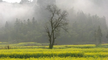 2010.4 徽州 403