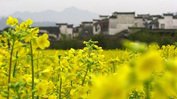 2010.4 徽州 420