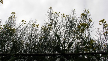 2010.4 徽州 817