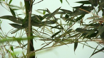 2010.4 徽州 818